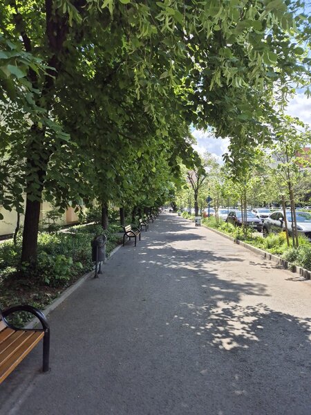 Aleea Circului, Parcul Circului,