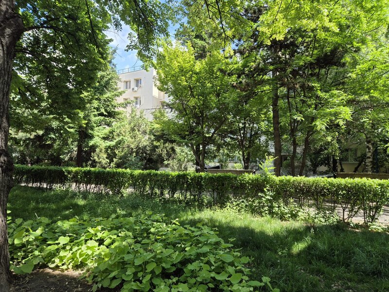 Aleea Circului, Parcul Circului,