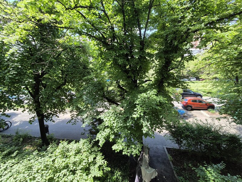 Aleea Circului, Parcul Circului,